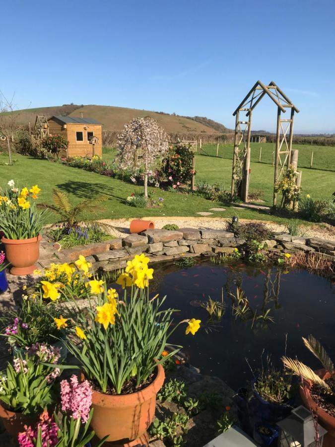 بكفاستلاي Westerley Country B & B With Exclusive Guest Lounge المظهر الخارجي الصورة