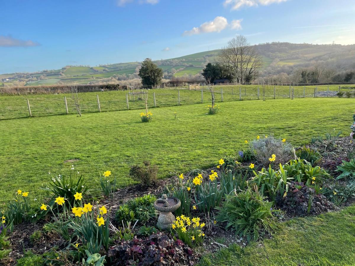 بكفاستلاي Westerley Country B & B With Exclusive Guest Lounge المظهر الخارجي الصورة