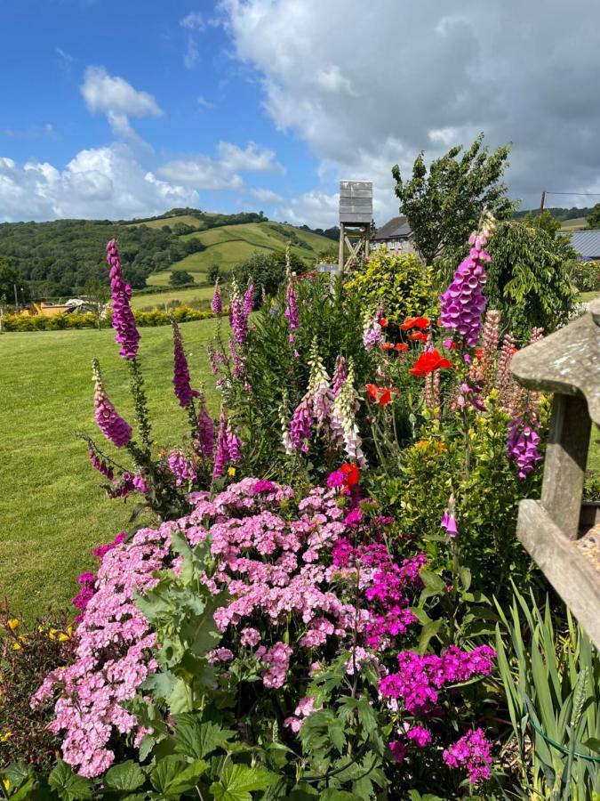 بكفاستلاي Westerley Country B & B With Exclusive Guest Lounge المظهر الخارجي الصورة